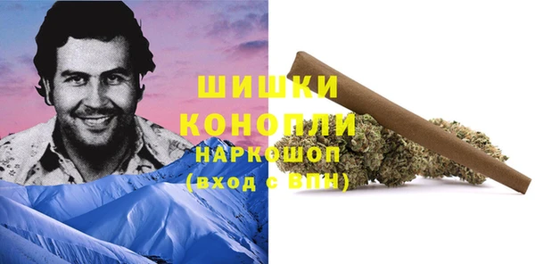 дурь Богородицк