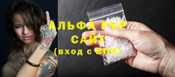 стафф Тобольск