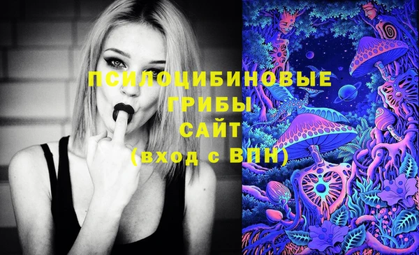 наркотики Богданович