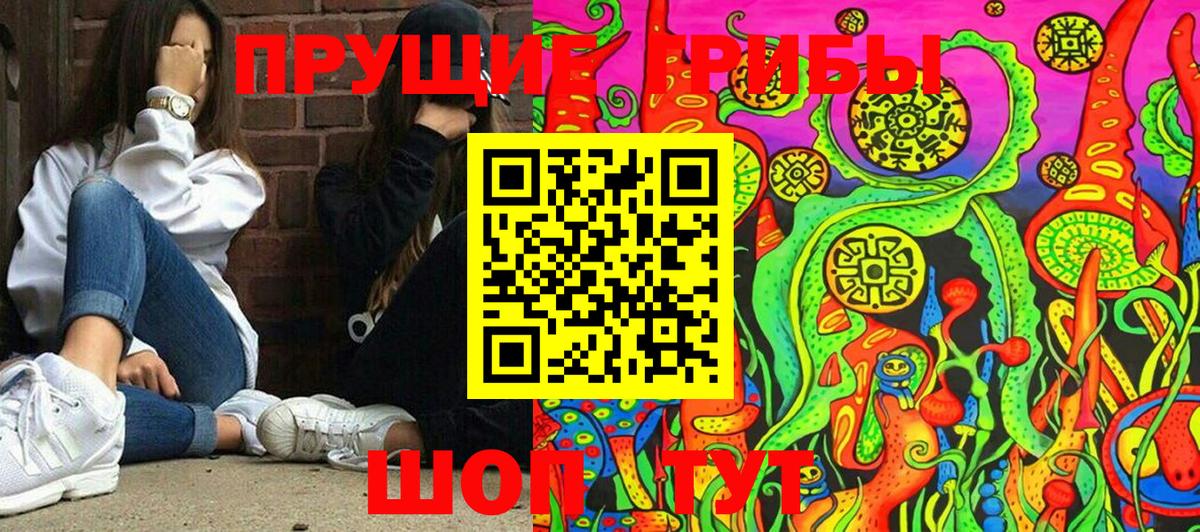 Псилоцибиновые грибы Psilocybe Видное